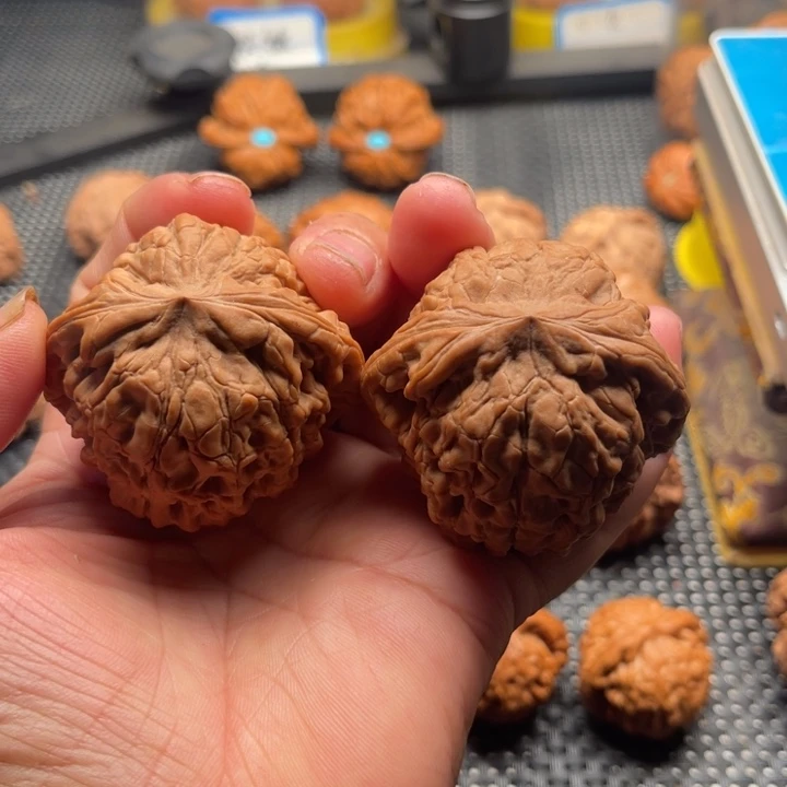 文玩核桃把件全品龙鼎49➕