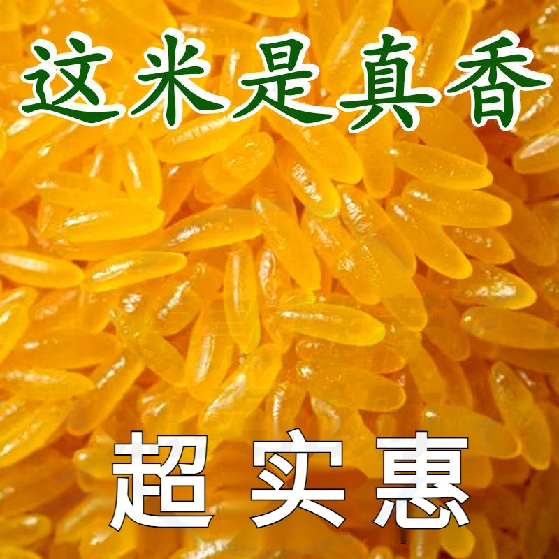 正宗东北黄金米玉米非大米五谷杂粮产粗粮细作优质产地当季新货