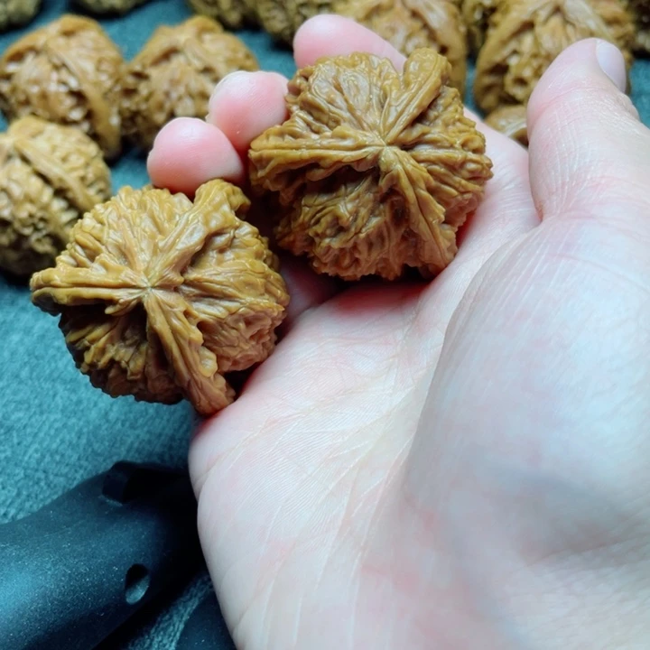 开***有手工三棱白狮子三棱