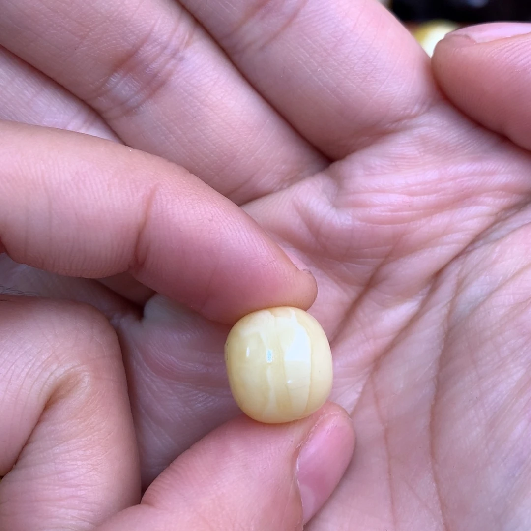 琥珀未镶嵌裸石蜜蜡13