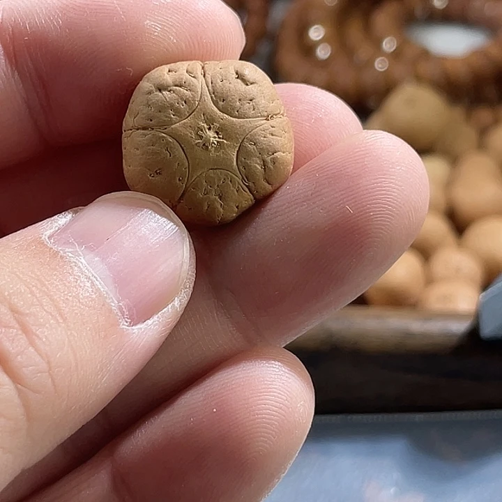 凤眼菩提吊坠尼泊尔小凤眼