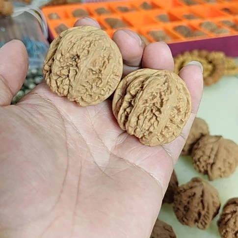 把件文玩核桃37左右瑕疵粗筋配对如图