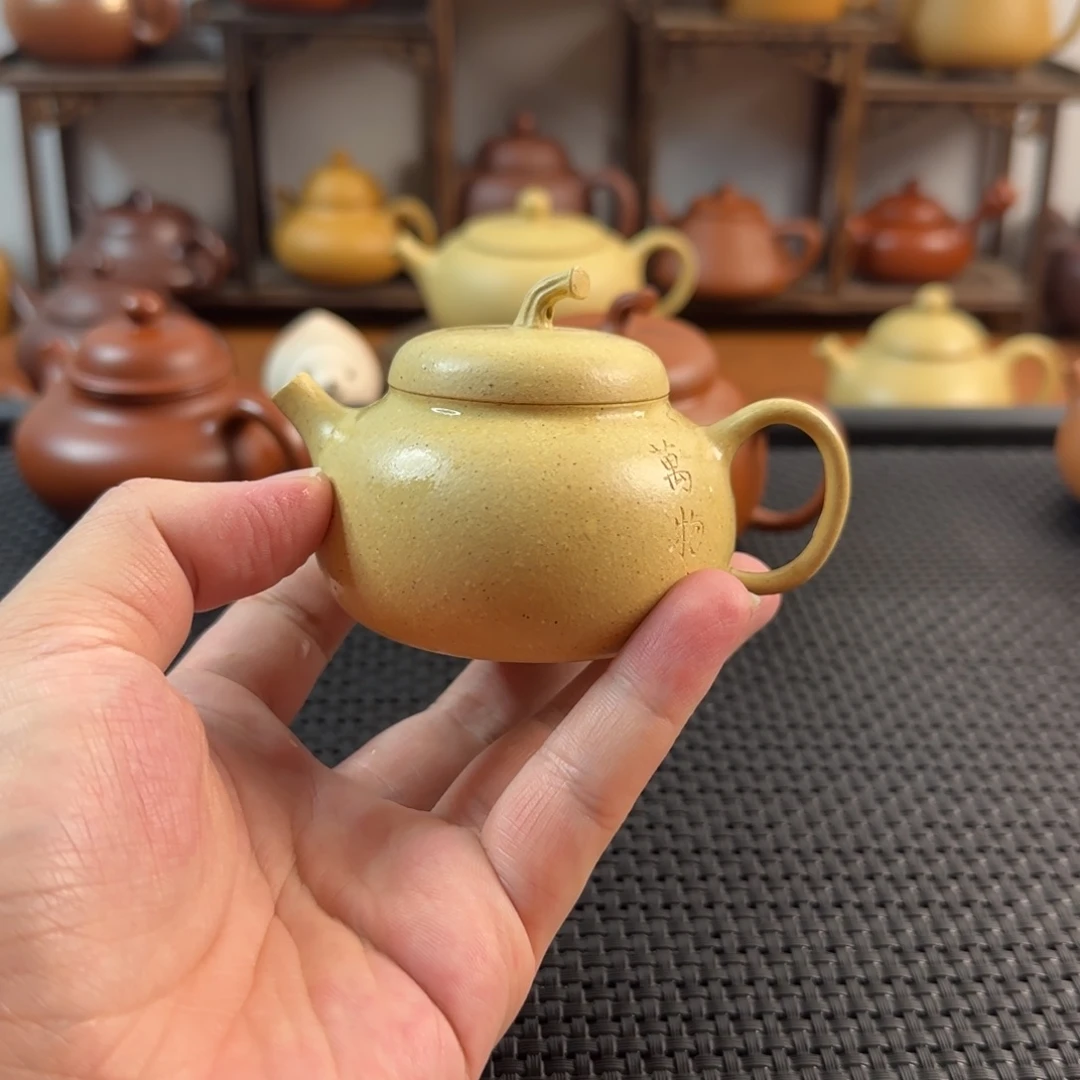 紫砂茶壶紫砂紫砂紫砂