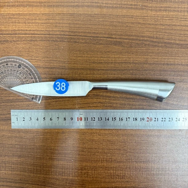 德国锋利水果刀家用不锈钢削皮刀学生宿舍用便携小刀带刀套瓜果刀