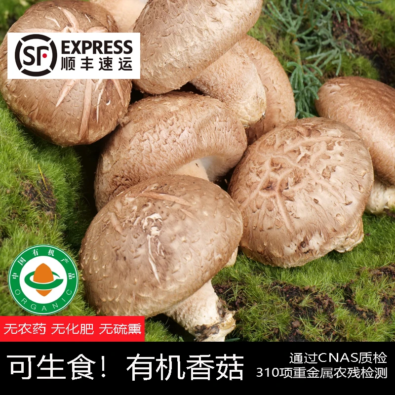 可生食[有机新鲜现采香菇] 无甲醛硫熏 低卡美味炖鸡煲汤鲜嫩浓郁
