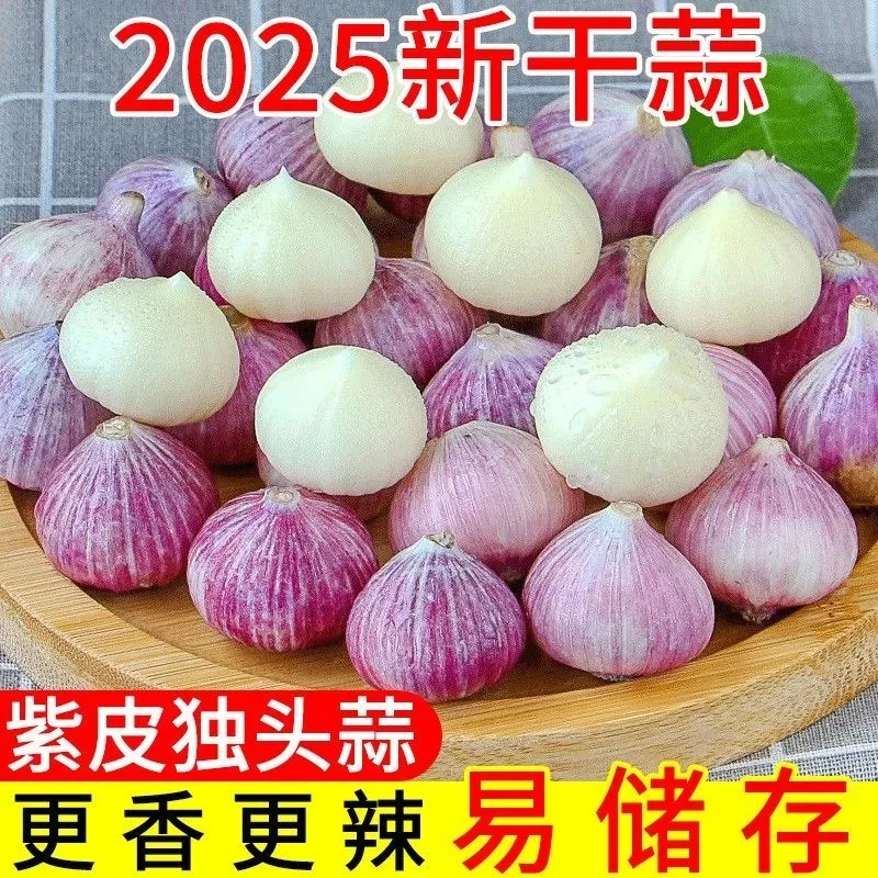 【十足干】2025紫皮独头干蒜新鲜大头蒜红皮农家大蒜头独蒜批发