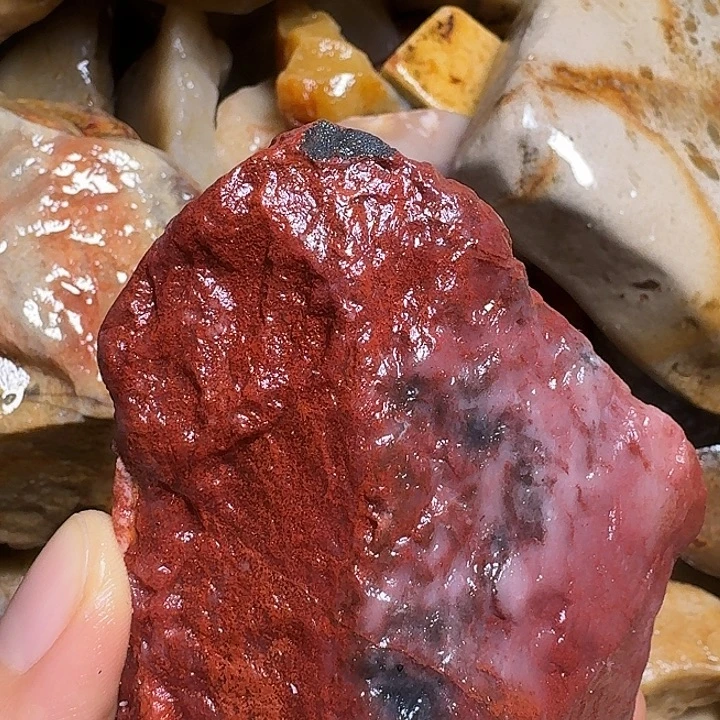 寿山石寿山石的颜色