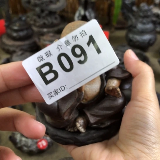 青***雨全场八折福利炸小茶宠