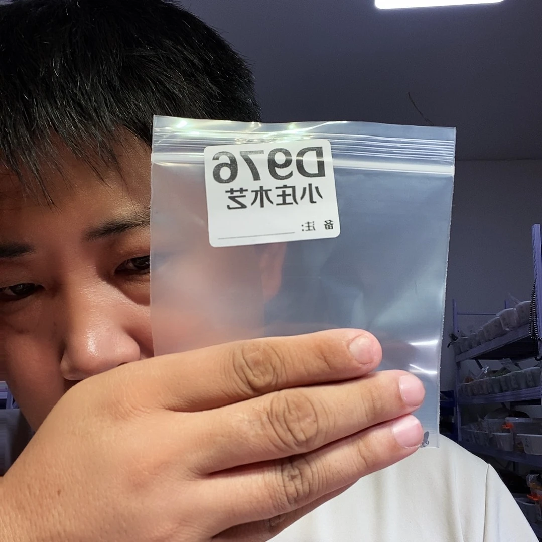 【闪购商品】张****法黑檀木976