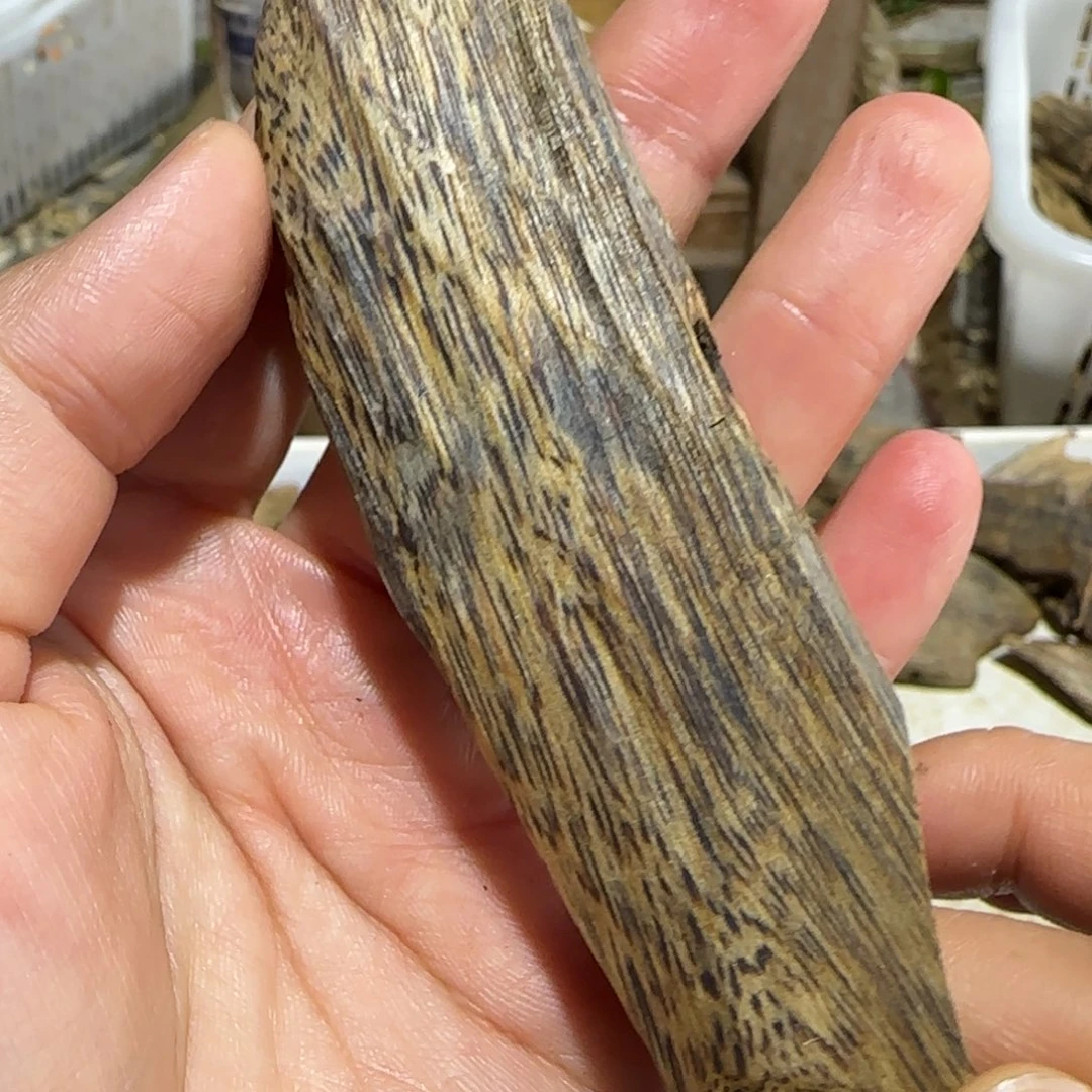 沉香沉香碎屑窖藏西瓜叶一块