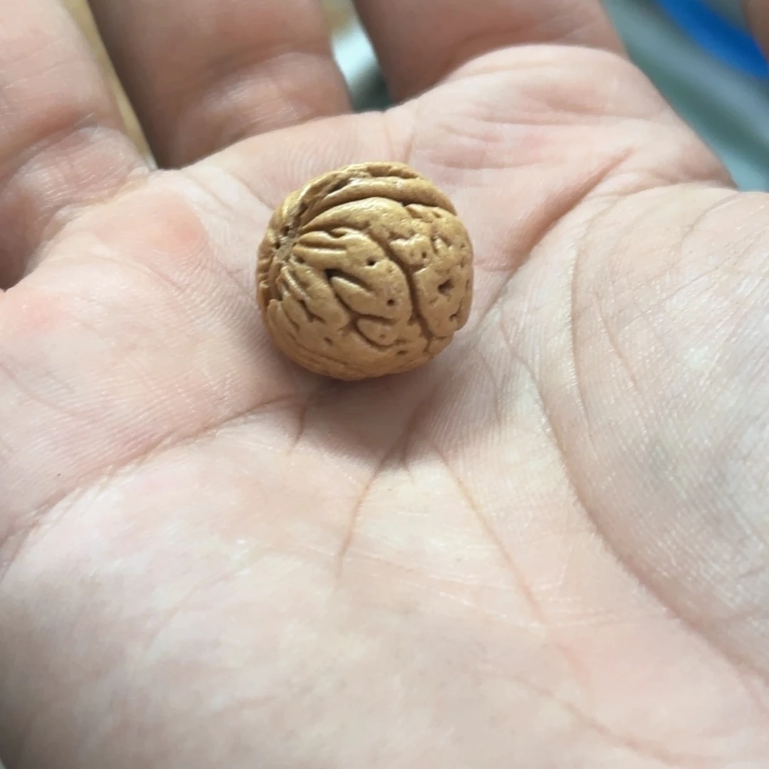 核桃手串/手链哈哈哈哈哈哈哈哈哈哈