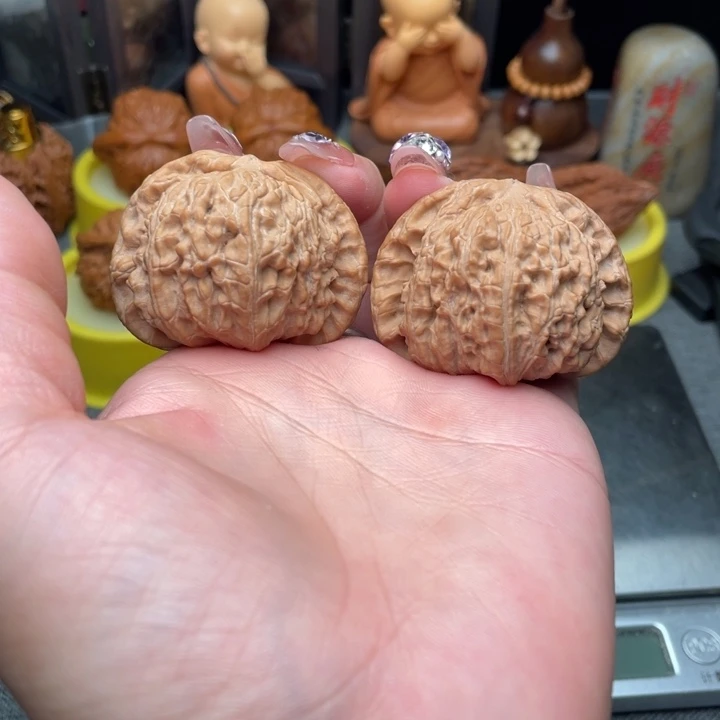 文玩核桃把件白狮子44全品