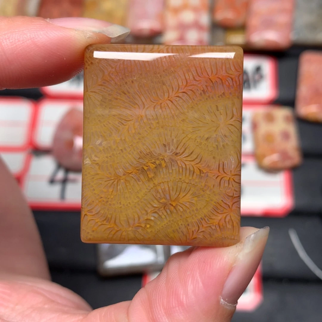 【闪购商品】未镶嵌颈饰硅化玉T***y