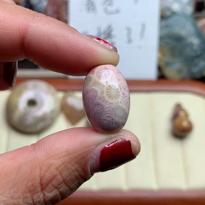 硅化珊瑚（珊瑚玉）颈饰未镶嵌