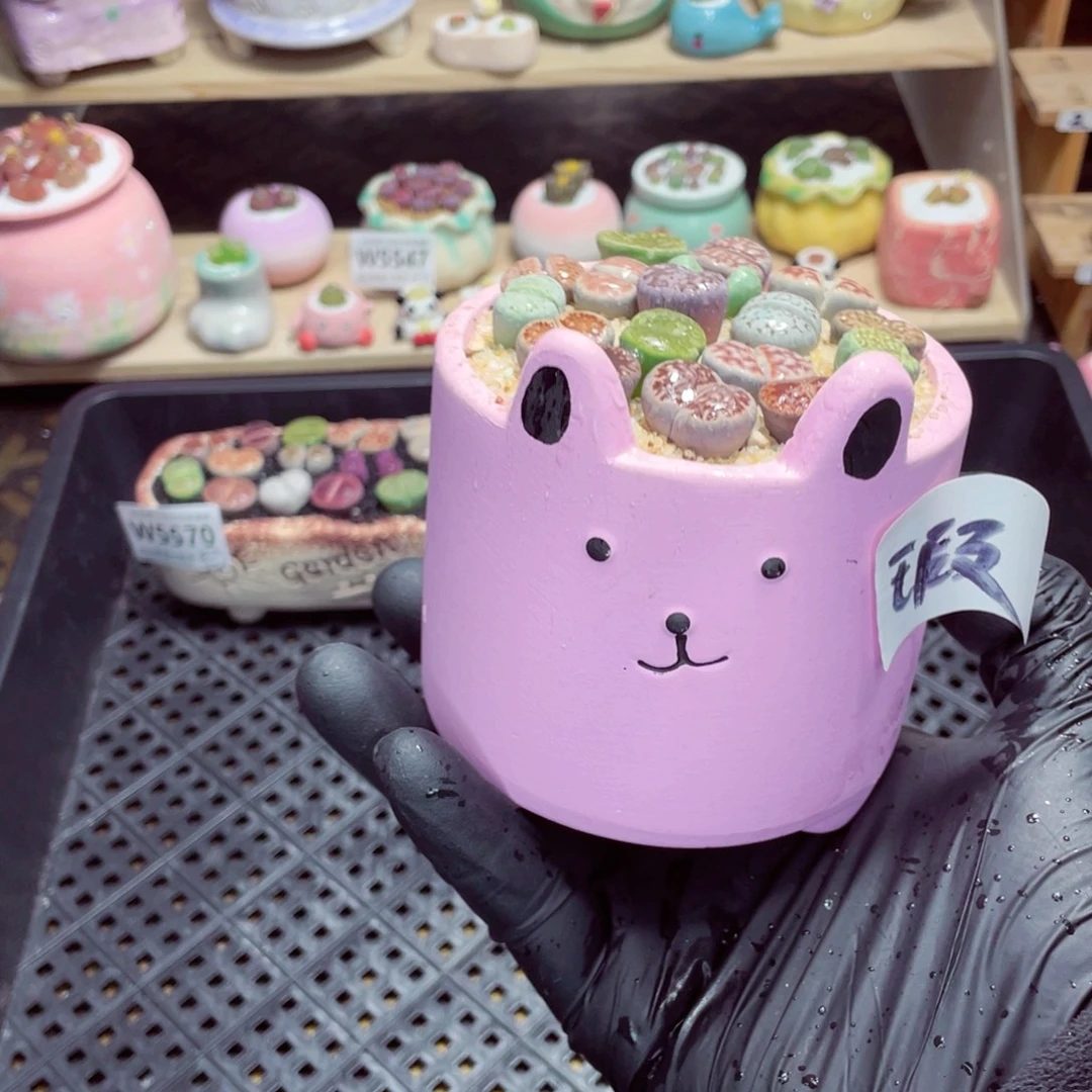 夜间零下地区拍保温箱w5571