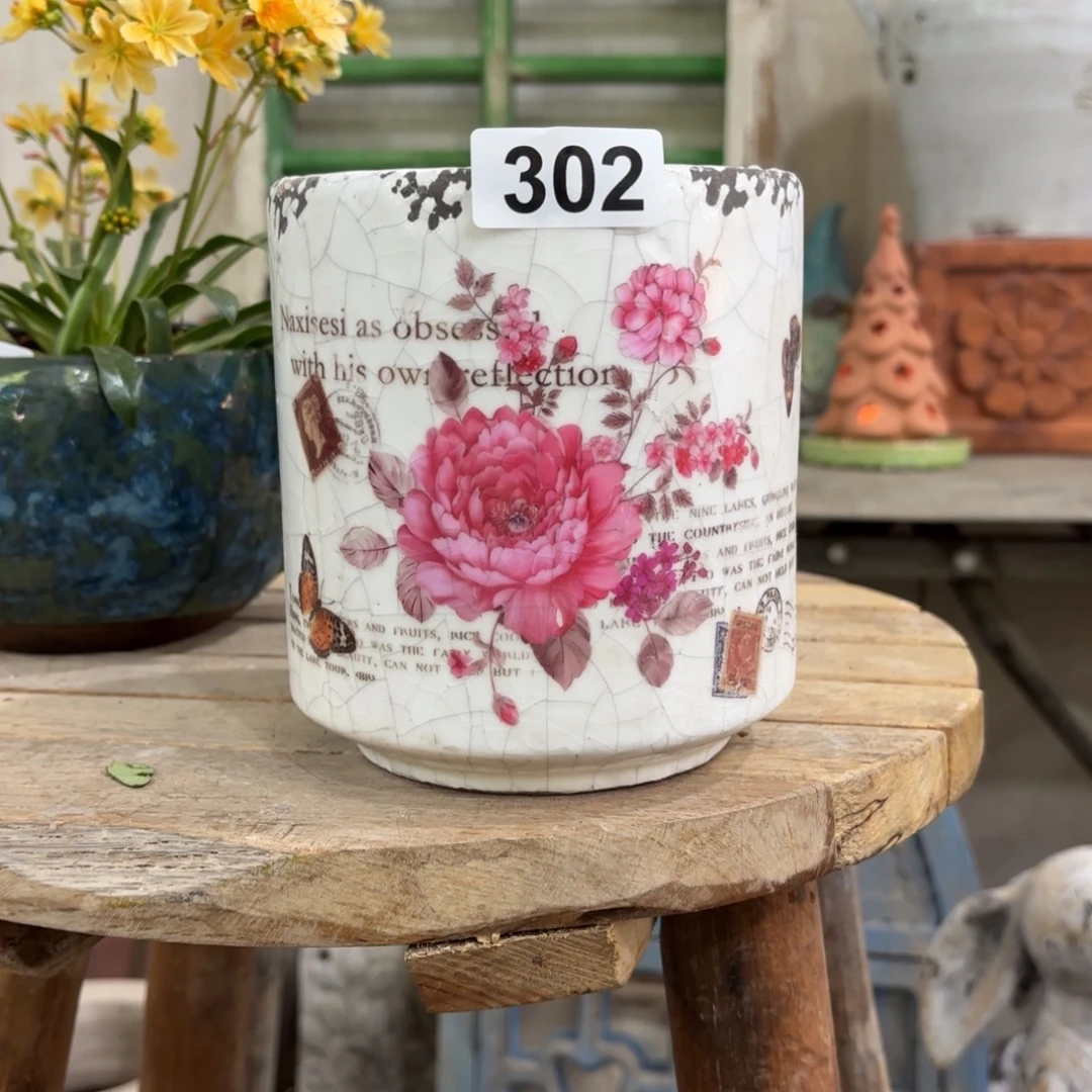 许纯的花房 孤品302 牡丹