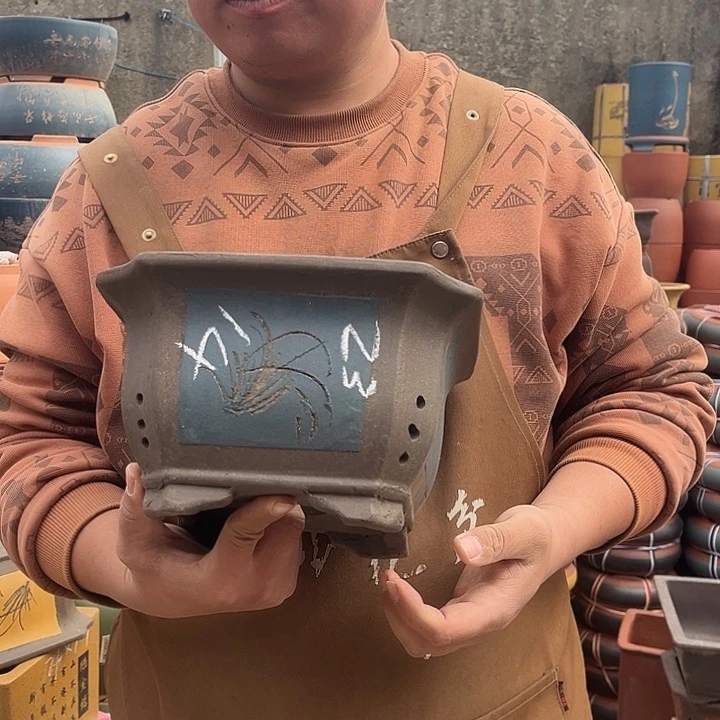 紫砂紫砂花盆盆栽