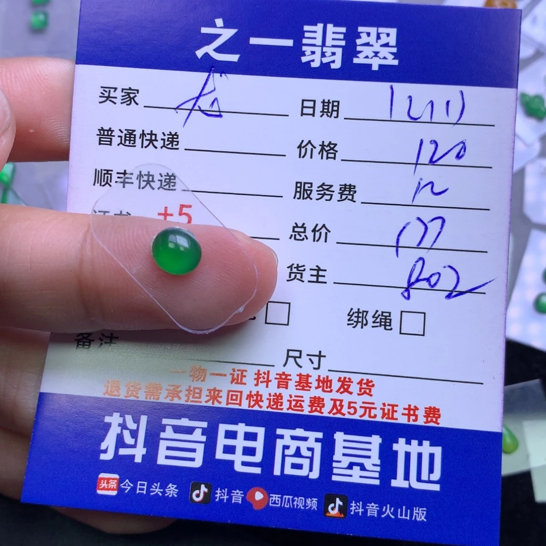 颈饰未镶嵌翡翠龙*