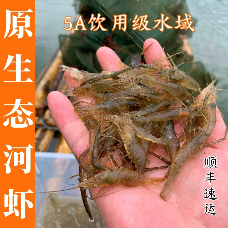 万绿湖原生态小河虾净重新鲜速冻锁鲜活冻锁鲜顺丰包邮