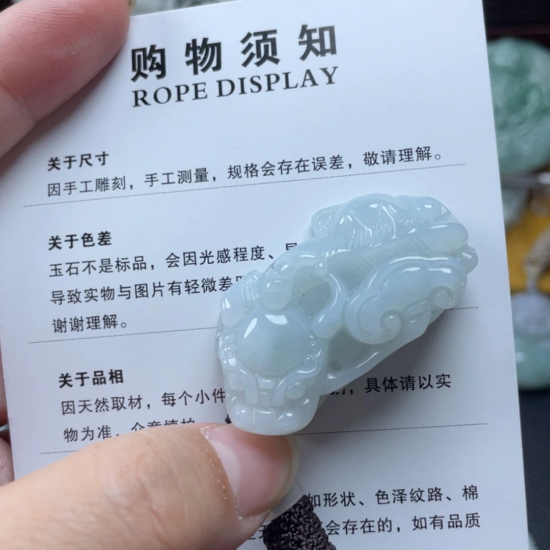 翡翠颈饰未镶嵌貔貅