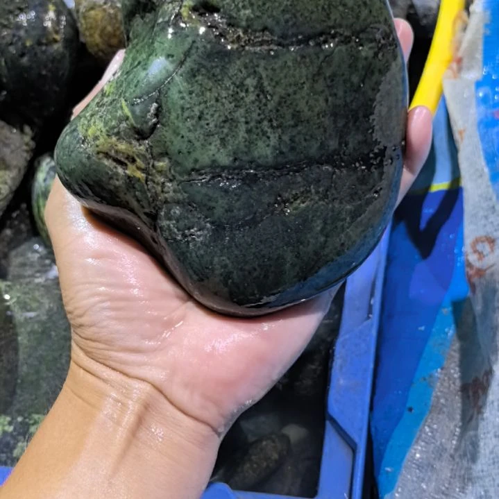 尚***都木藏玉药王石原石一个