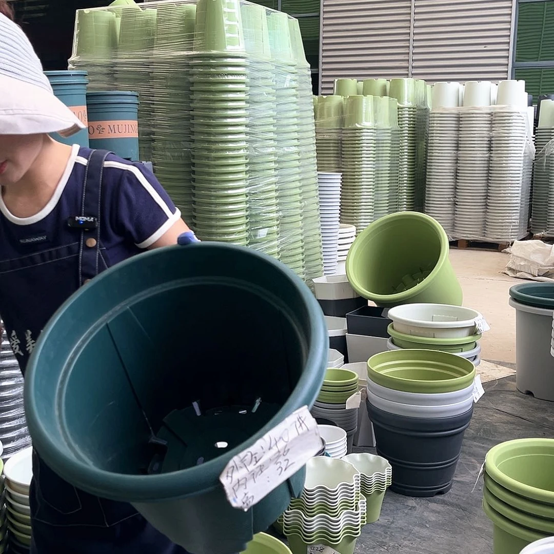 青山盆7#墨绿色5个无托