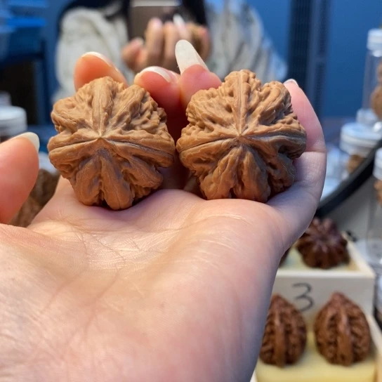 八***壹桃核把件东北秋子