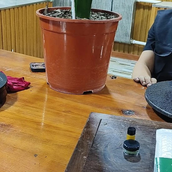 完全开放龙系油子代圆梦兰苑