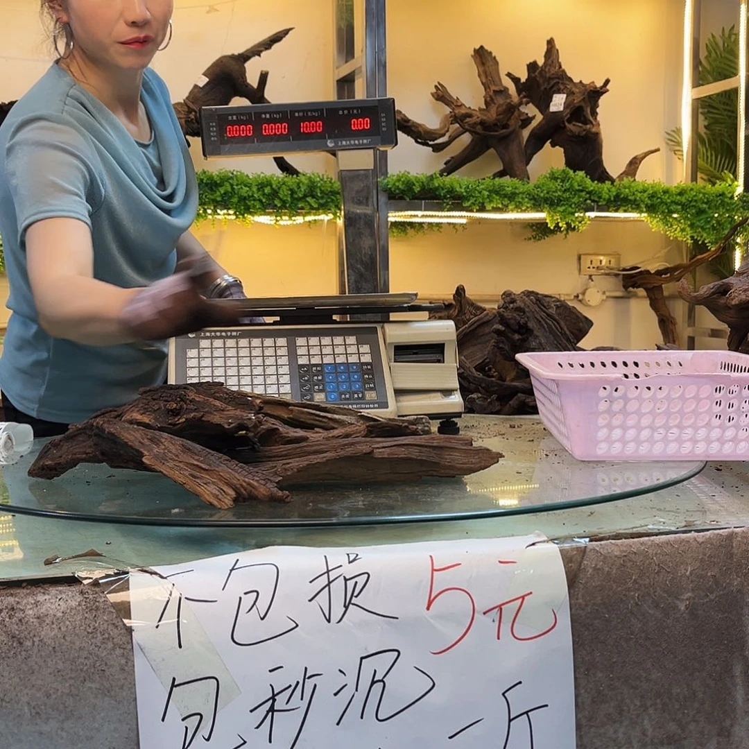 柚木用****6沉木鱼缸造景