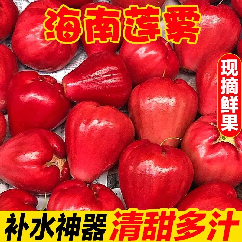 现摘现发黑珍珠莲雾果红宝石莲雾当季新鲜孕妇水果非海南黑金莲雾