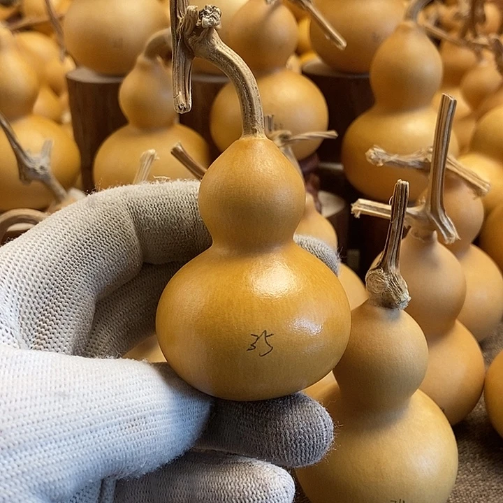 文玩葫芦 完美主义者 慎拍35