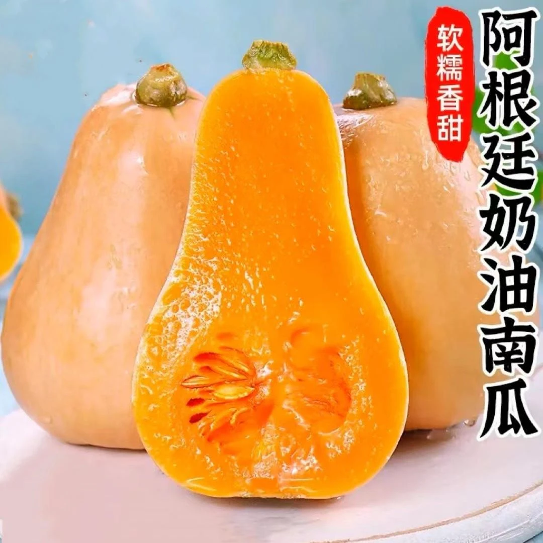 陕西秦岭山头茬奶油南瓜软糯香甜适合宝宝辅食