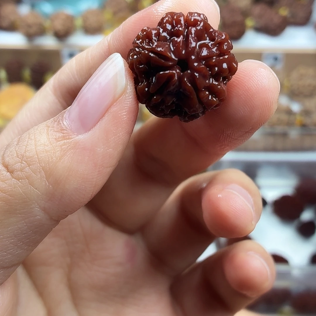 金刚菩提手串稀有精品经典梅花蜂窝双龙