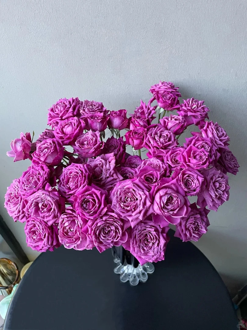 【花汀私享】午夜派对-稀有多头玫瑰（注意带包装醒花哦~）