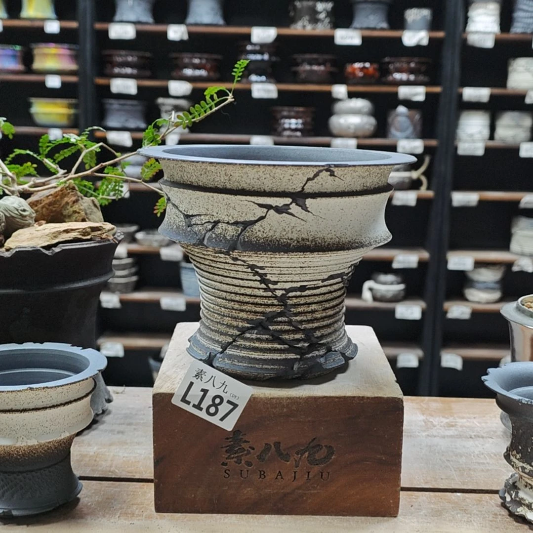 陶瓷素八九陶瓷内口14.5高13.5