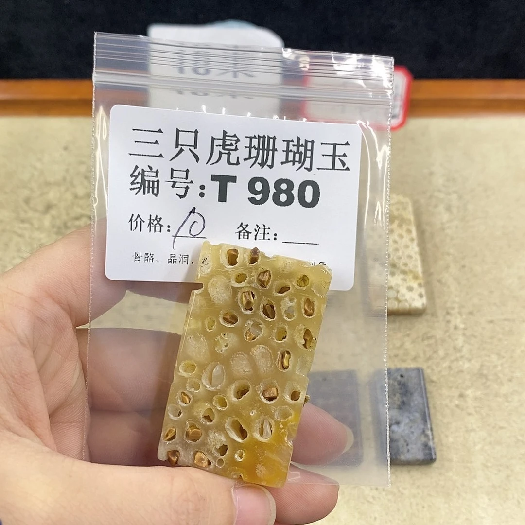 硅化珊瑚（珊瑚玉）1未镶嵌家****！