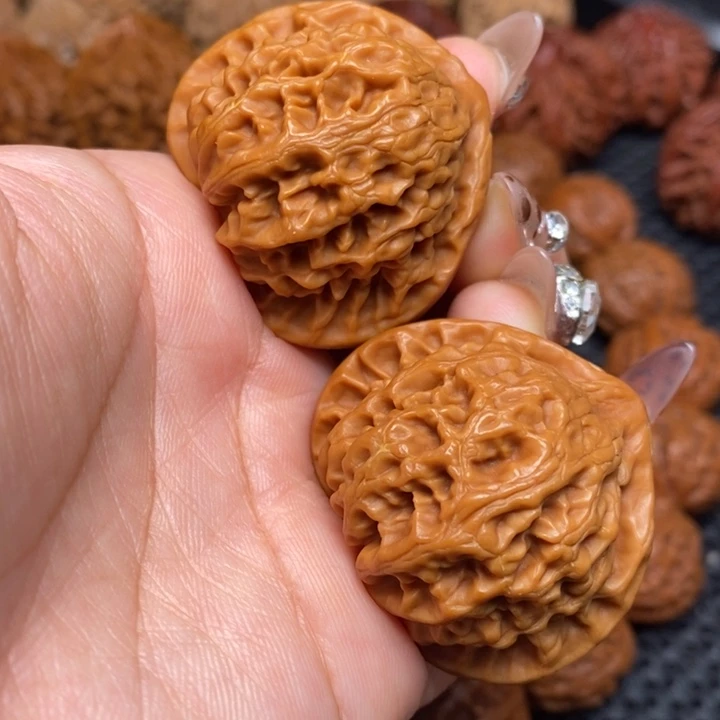 秦岭野生00000009