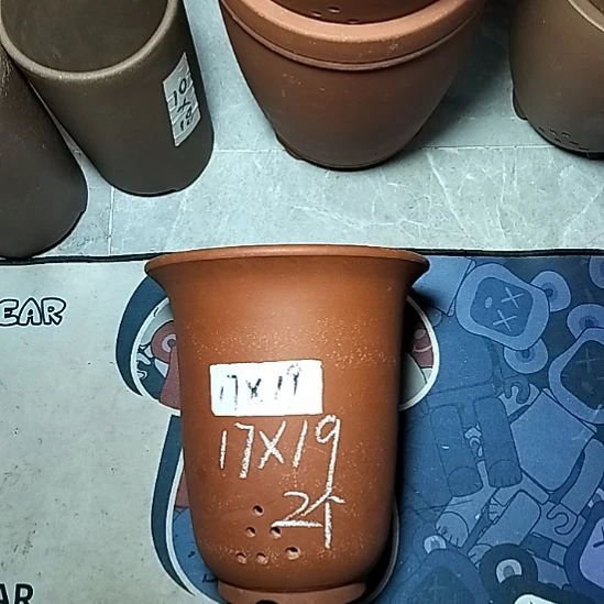 红泥小金钟两个花盆