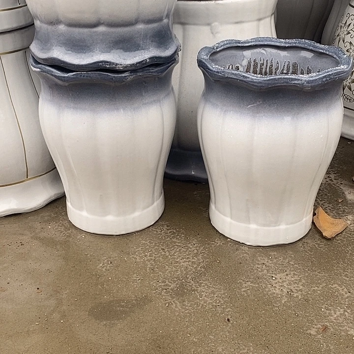 渐变灰南瓜中口25高32福利