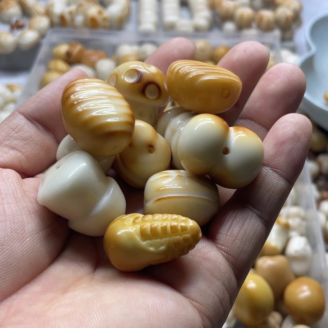 小****吊坠菩提根/象牙果全品象牙果十颗