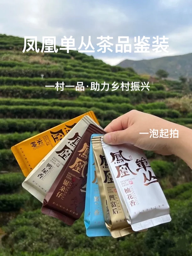 【兵销001】一村一品一香·凤凰单丛品鉴装十大香型百类品茶叶试喝装