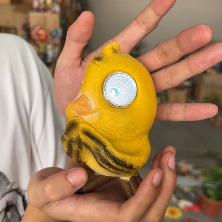 盖碗样品样品样品小鸟