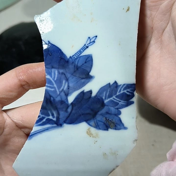 瓷片瓷片瓷片瓷片瓷片