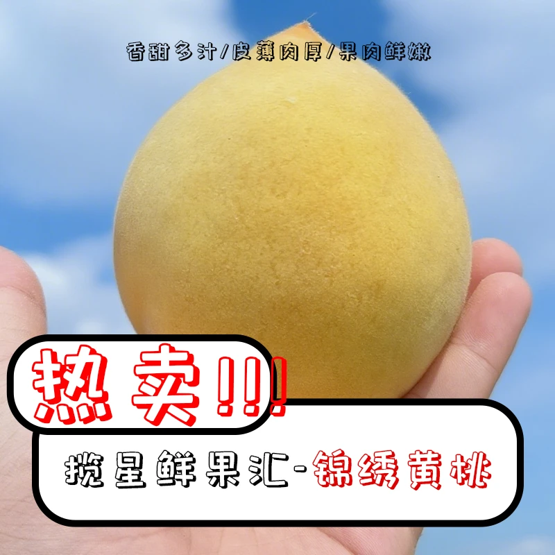 上海奉贤锦绣黄桃正宗新鲜应季秋季水果顺丰现摘现发鲜果10斤农家