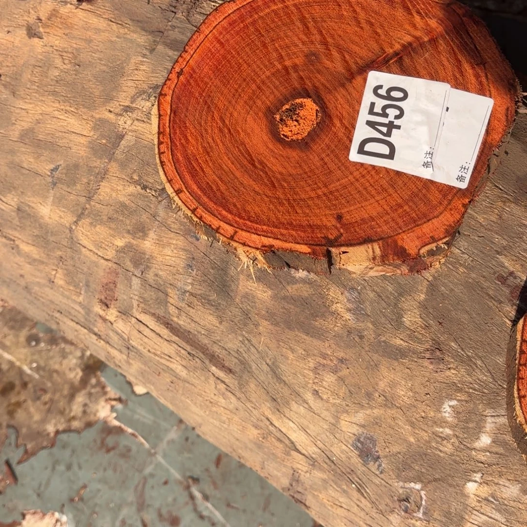 绿泥一物一拍血檀编码456