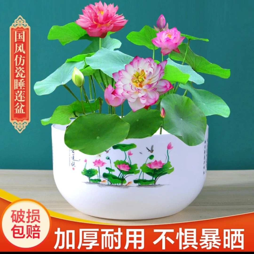 大号仿陶瓷树脂加厚无孔睡莲荷花盆 加厚水培碗莲中国风塑料花盆