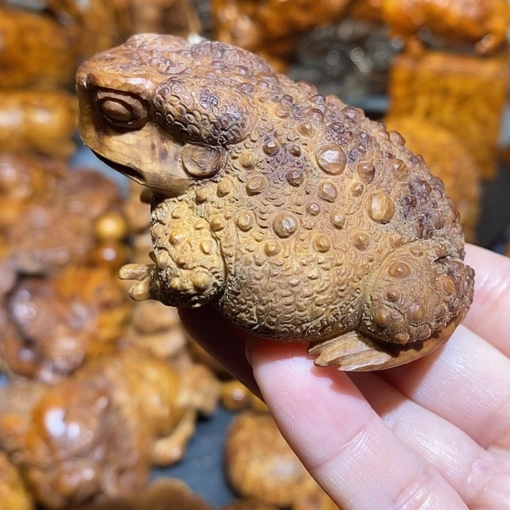 柏木太行崖柏陈化