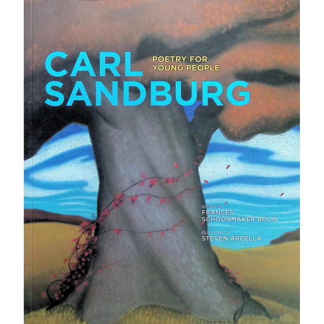 青少年诗歌系列原版书英语诗歌集CarlSandburg经典作品青少年适读