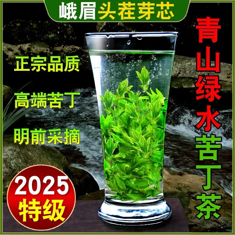2025新茶上市小叶苦丁茶明前头采嫩芽头