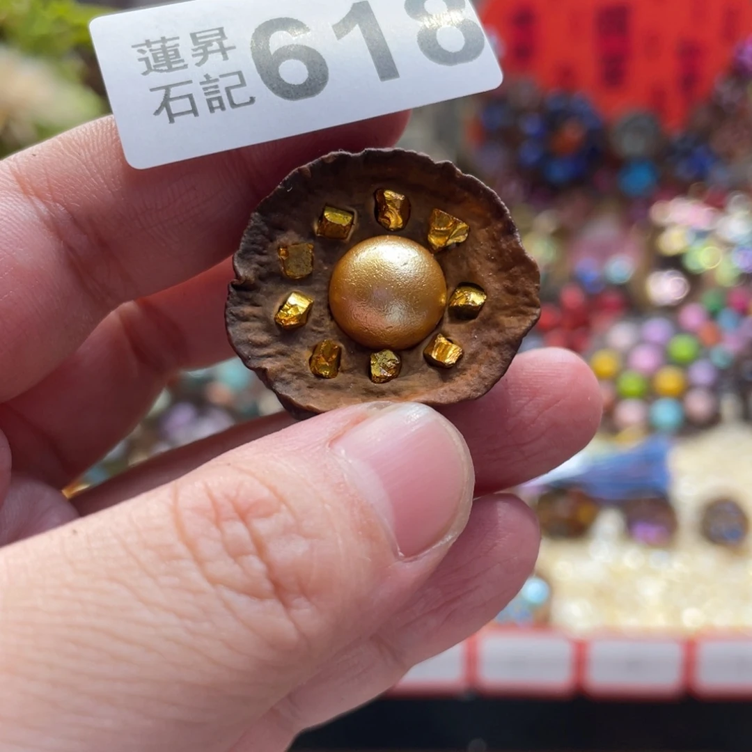 核桃木/黑胡桃（胡桃木）周****）618